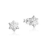 Cercei argint fulg de nea DiAmanti AE22809-AS